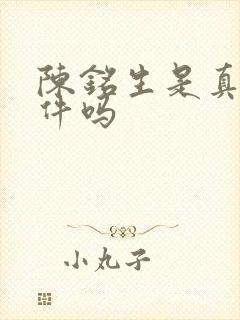 陈铭生是真实事件吗