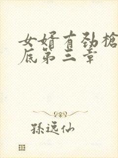 女婿有劲枪枪到底第三章