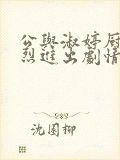 公与淑婷厨房猛烈进出剧情介绍