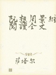 阮想周景维免费阅读全文