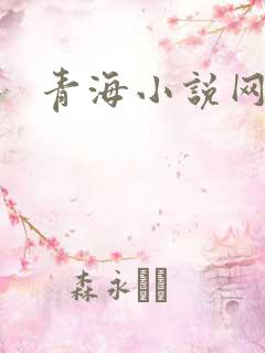 青海小说网