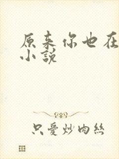 原来你也在这里小说