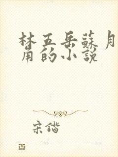 林五岳苏月灵主角的小说