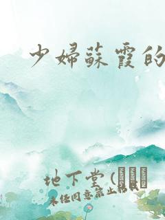 少妇苏霞的沉沦