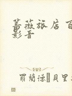 蔷薇旅店 百度影音