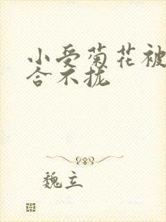 小受菊花被双龙合不拢