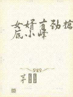 女婿有劲枪枪到底小峰