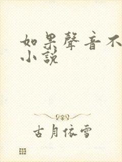 如果声音不记得小说