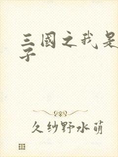 三国之我是皇太子