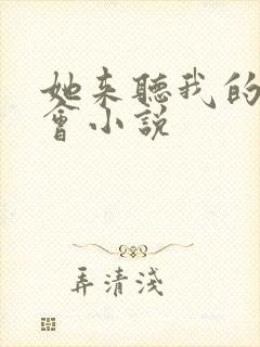 她来听我的演唱会小说