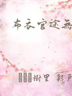 布衣官途无弹窗