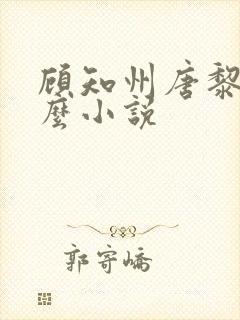 顾知州唐黎叫什么小说