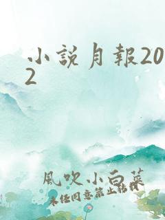 小说月报2012