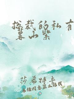 总裁的私有宝贝 暮山紫