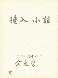 后入 小说