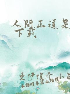 人间正道是沧桑 下载