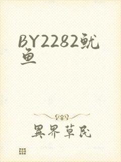 BY2282鱿鱼