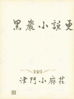 黑岩小说更新吧