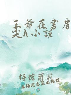 王爷在书房含乳尖h小说