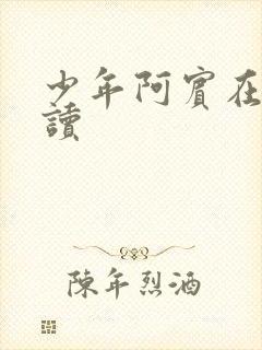 少年阿宾在线阅读