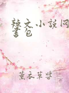 辣文小说网第二书包