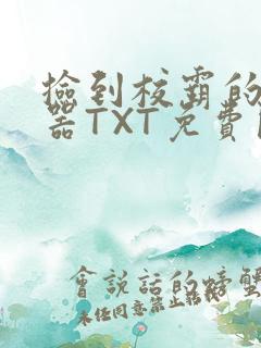 捡到校霸的遥控器TXT免费阅读