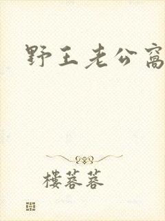 野王老公窝