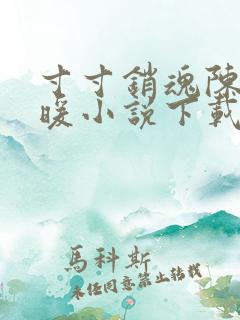 寸寸销魂陈聪王暖小说下载