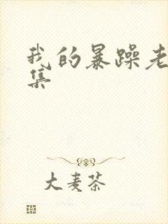 我的暴躁老妈全集