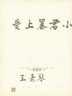 爱上暴君小甜心