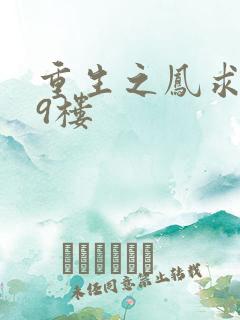 重生之凤求凰19楼