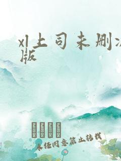 xl上司未删减版