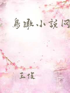 鸟瞰小说网