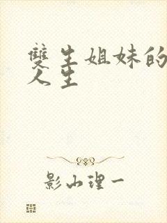 双生姐妹的错位人生