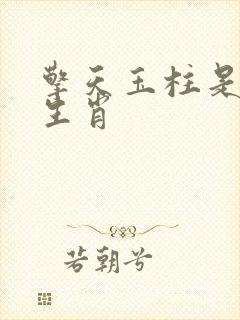 擎天玉柱是什么生肖