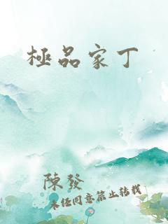 极品家丁