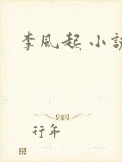 李风起 小说
