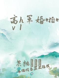 高h军婚啪啪1ⅴ1