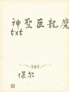 神圣巨龙魔法师txt