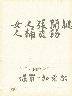 女人张开腿让男人桶爽的