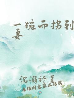 一碗面拐到美艳妻