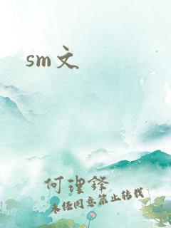 sm文