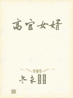 高官女婿