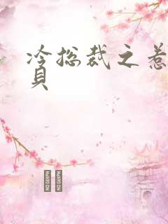 冷总裁之惹火宝贝