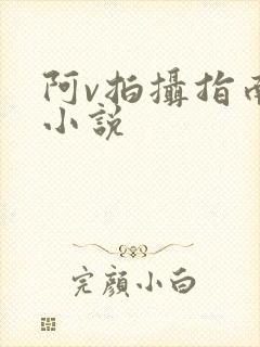阿v拍摄指南说小说