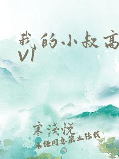 我的小叔高H1V1