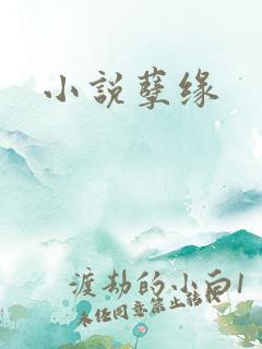 小说孽缘