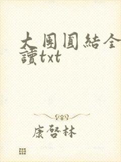 大团圆结全文阅读txt