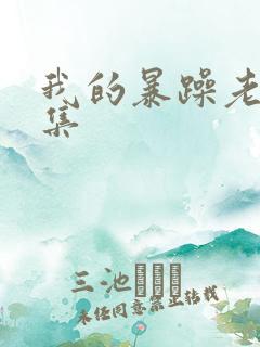 我的暴躁老妈全集