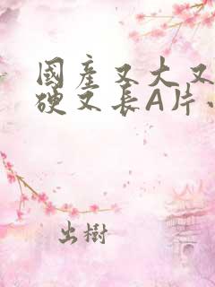 国产又大又粗又硬又长A片小说